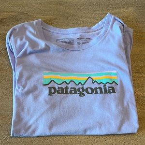 Patagonia tee